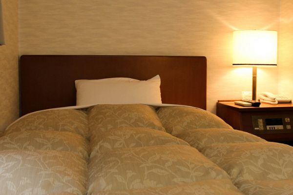 Fujieda City Hotel (Fujieda-shi)